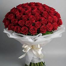 Букет 101 Красная роза Блэк Мэджик в Радовицкий