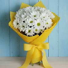 Букет цветов из:  Хризантемы в Радовицкий