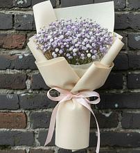 Букет цветов из:  Гипсофила в Радовицкий