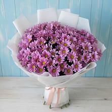 Букет цветов из:  Хризантемы в Радовицкий