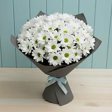 Букет цветов из:  Хризантемы #REPLACE_PRED# Радовицкий