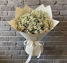 Букет цветов из:  Ромашки в Радовицкий