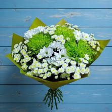 Букет цветов из:  Хризантемы #REPLACE_PRED# Радовицкий