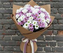 Букет цветов из:  Хризантемы #REPLACE_PRED# Радовицкий