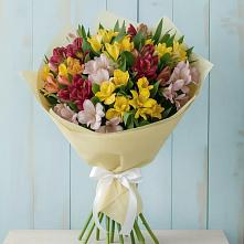 Букет цветов из:  Альстромерии #REPLACE_PRED# Радовицкий