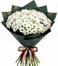 Букет цветов из:  Хризантемы #REPLACE_PRED# Радовицкий