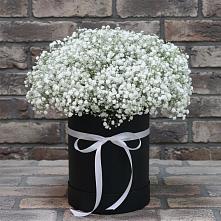 Цветочная композиция из Гипсофила в шляпной коробке в Радовицкий
