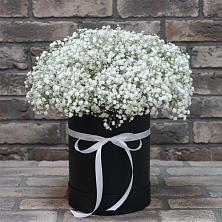Цветочная композиция из Гипсофила в шляпной коробке в Радовицкий