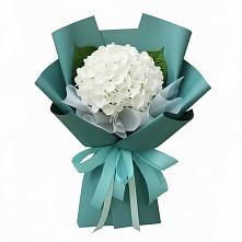 Букет цветов из:  Гортензия #REPLACE_PRED# Радовицкий